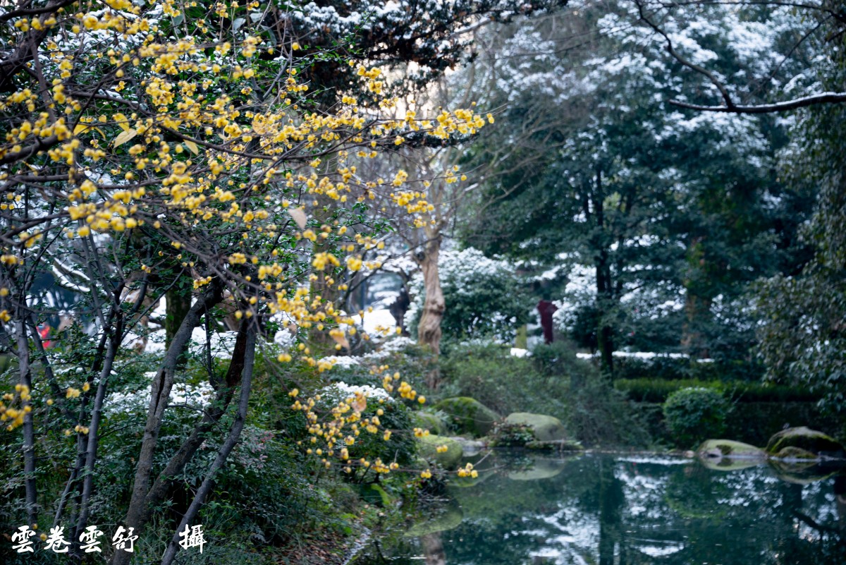 conew__dsc4439.jpg