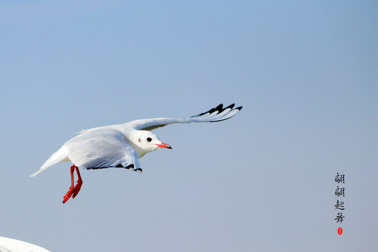 114355wa58jxhid7zz8lj7.jpg