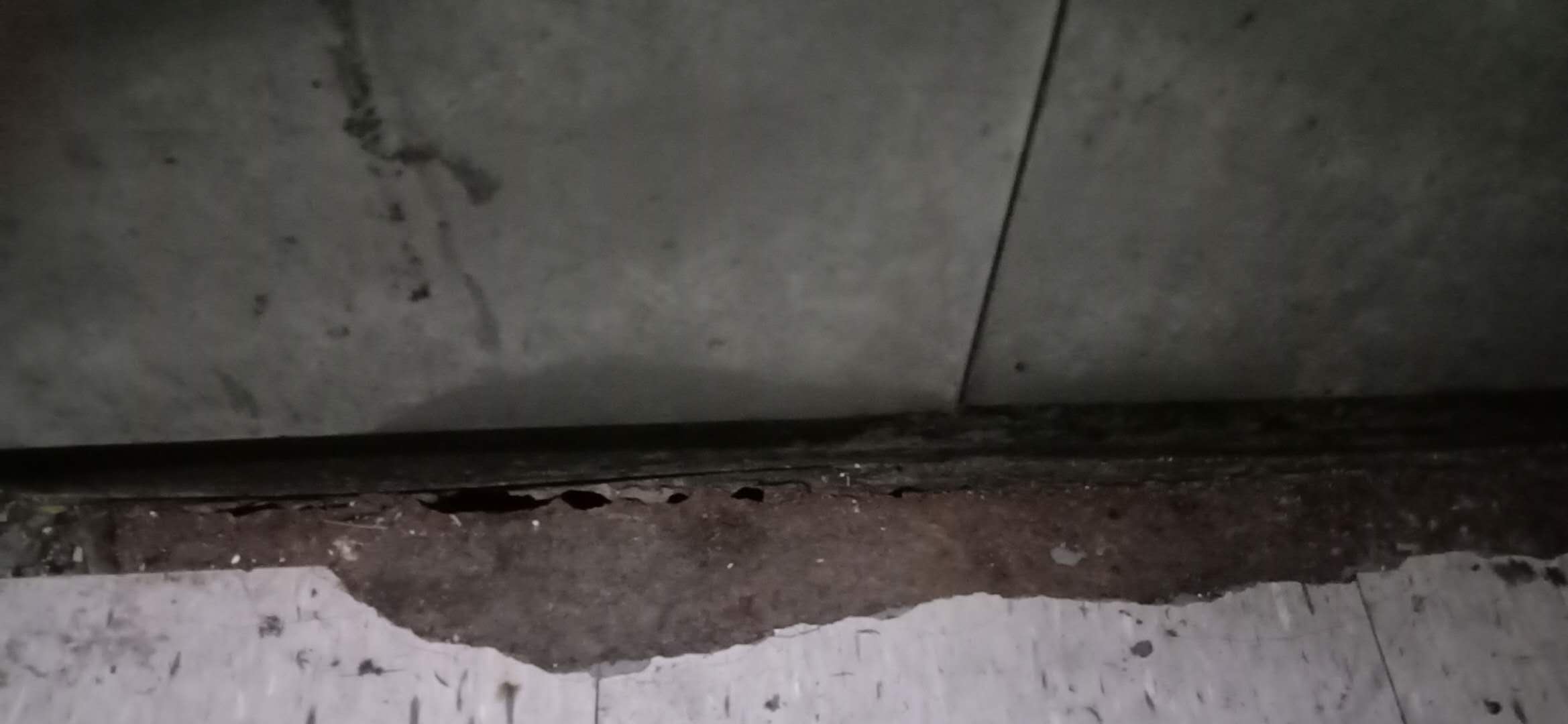 ݵײ