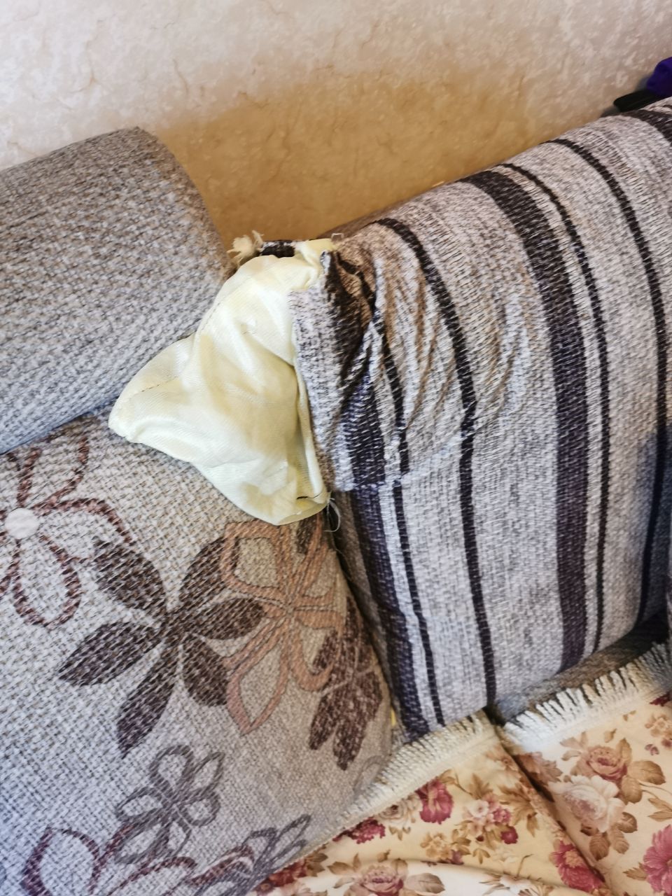 严厉谴责:租客严重损坏房东物品一走了之