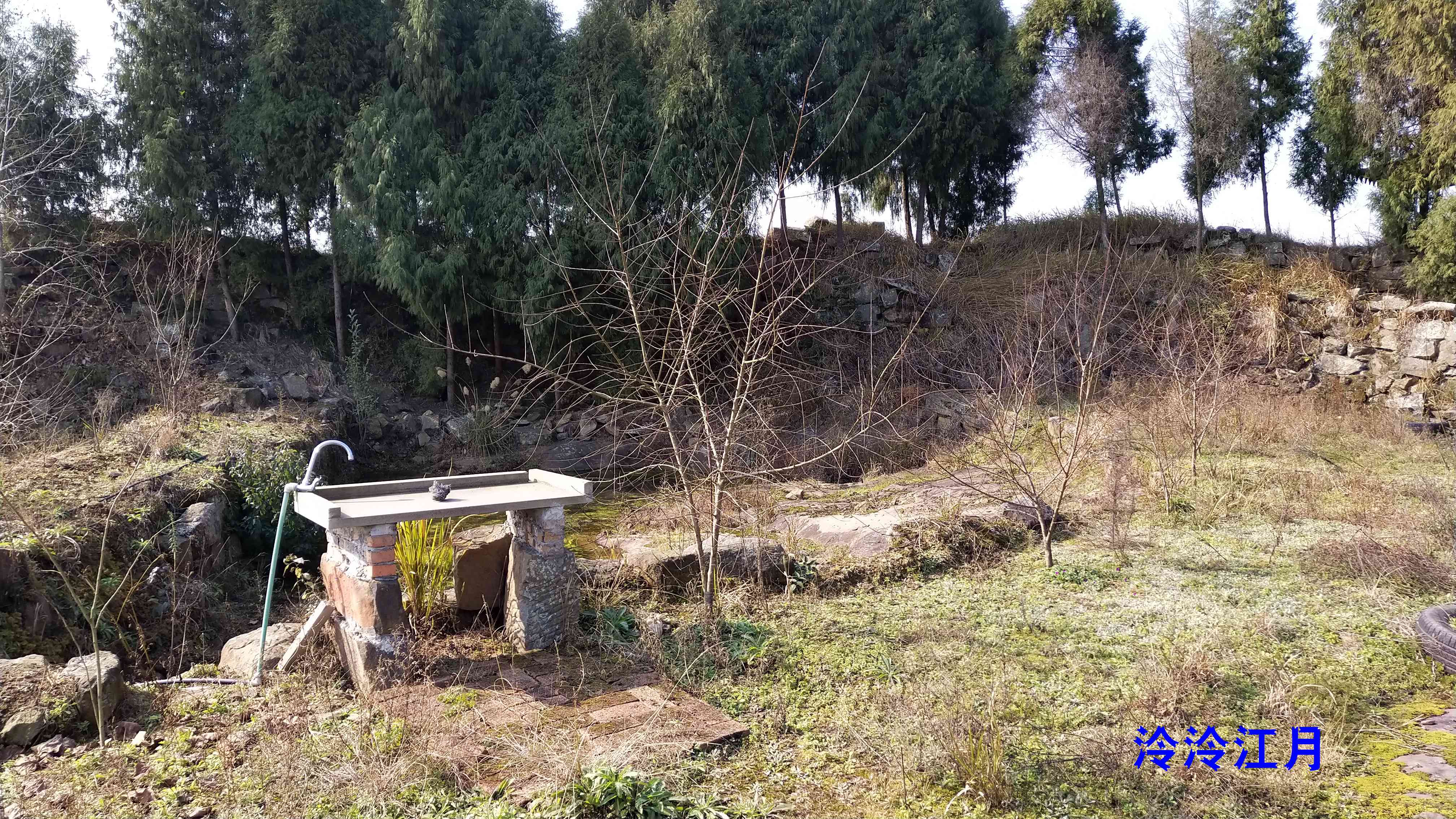 P10119-142312.jpg
