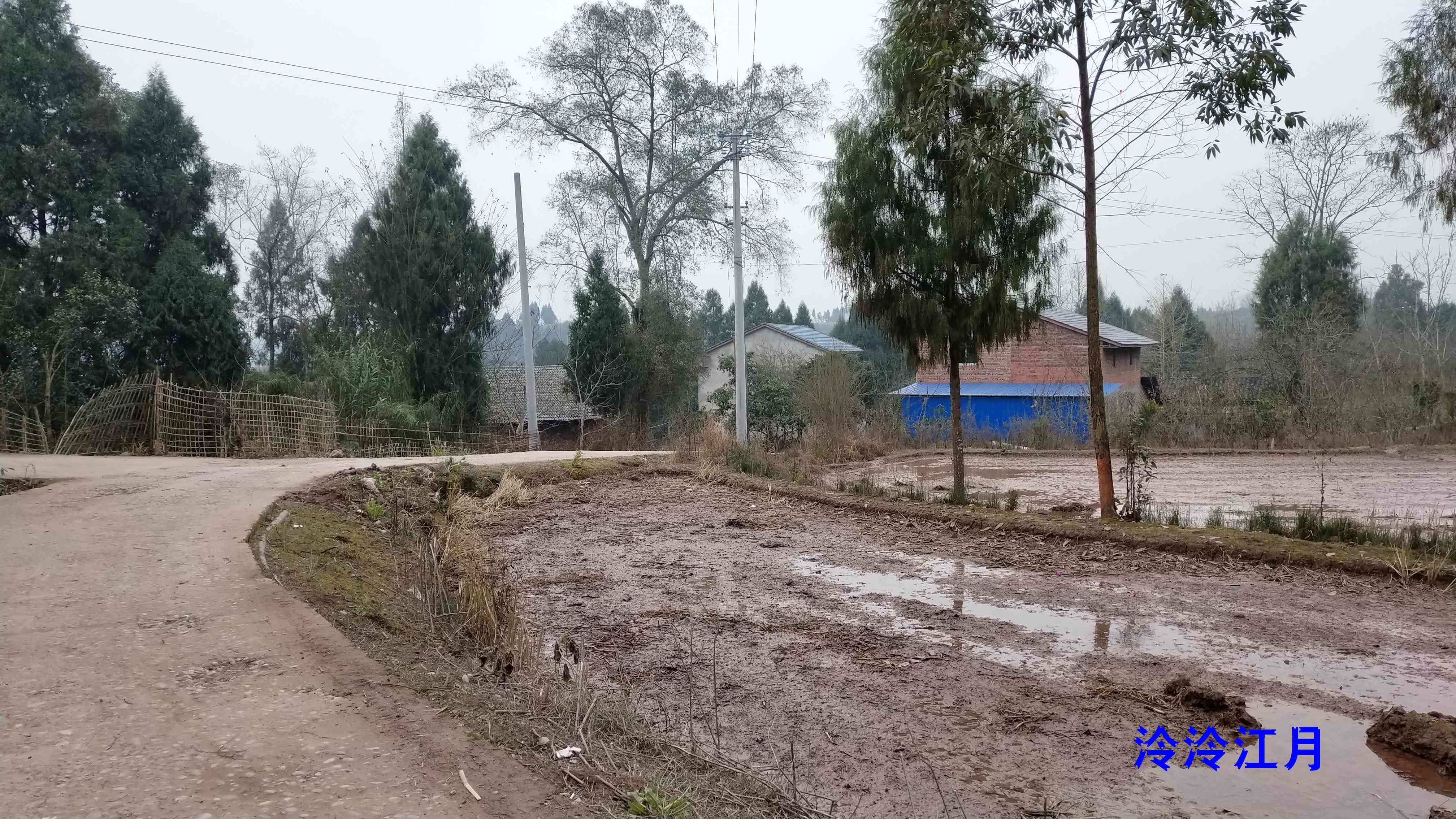P10121-150214.jpg