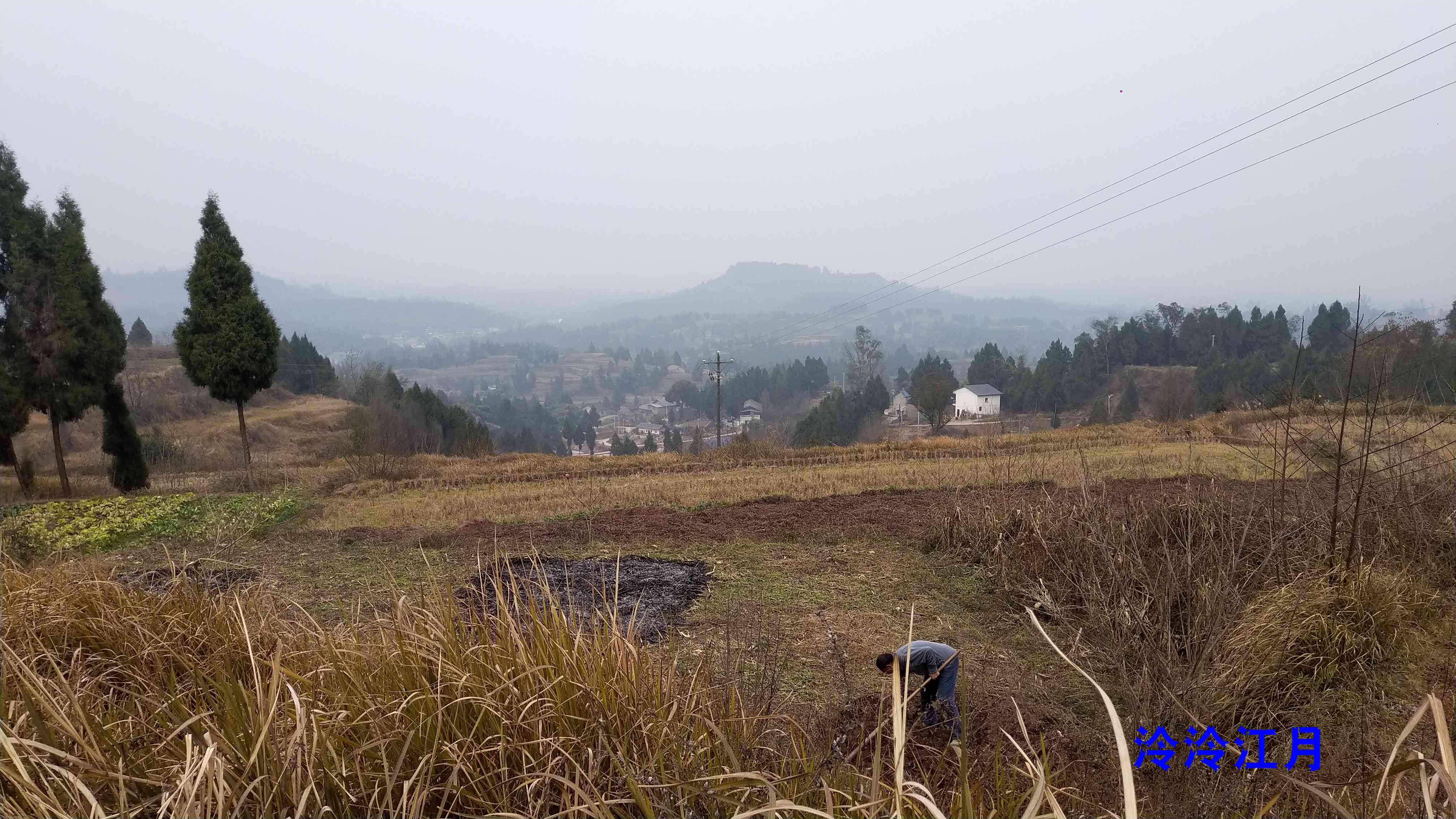 P10121-150823.jpg