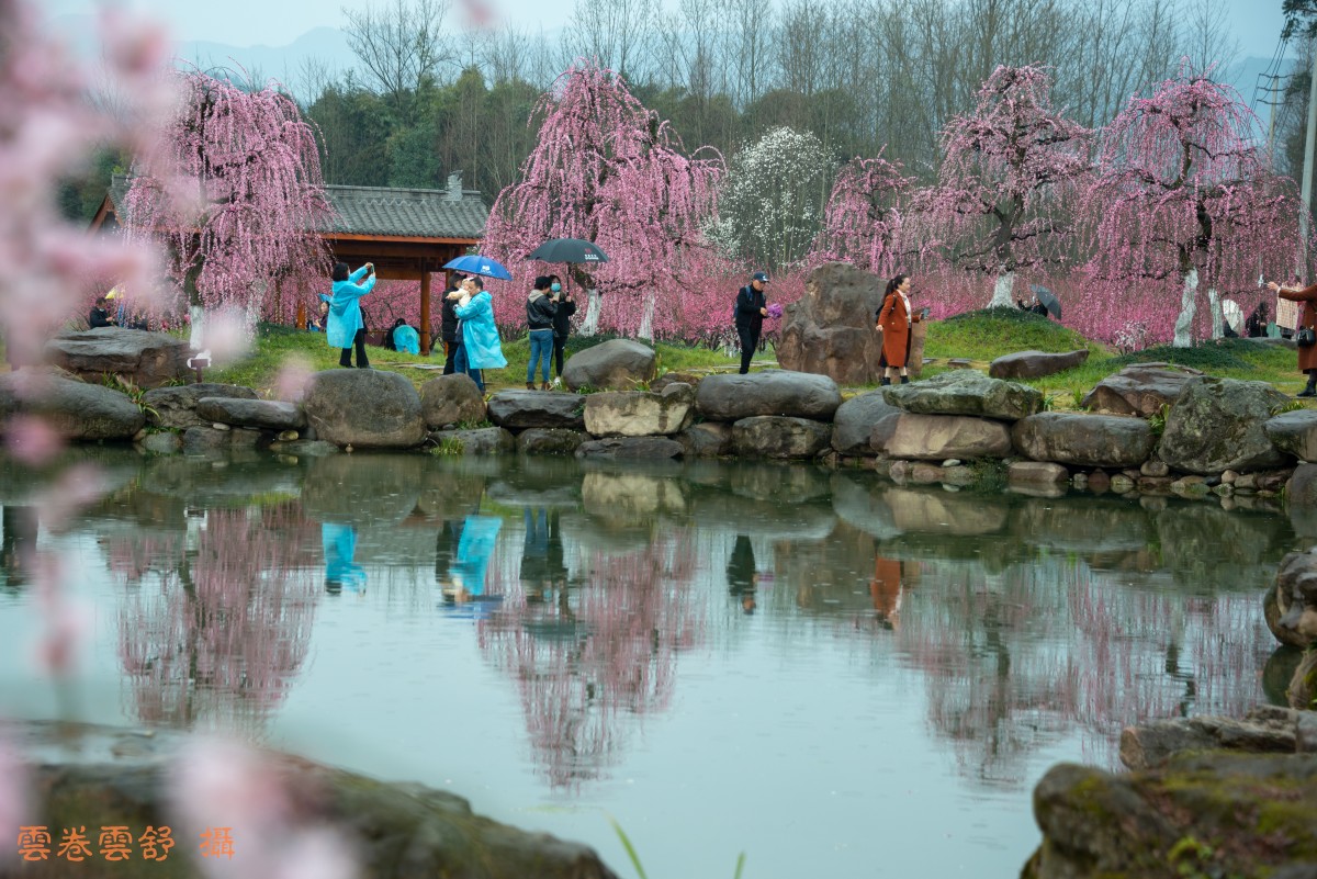 conew__dsc5926.jpg