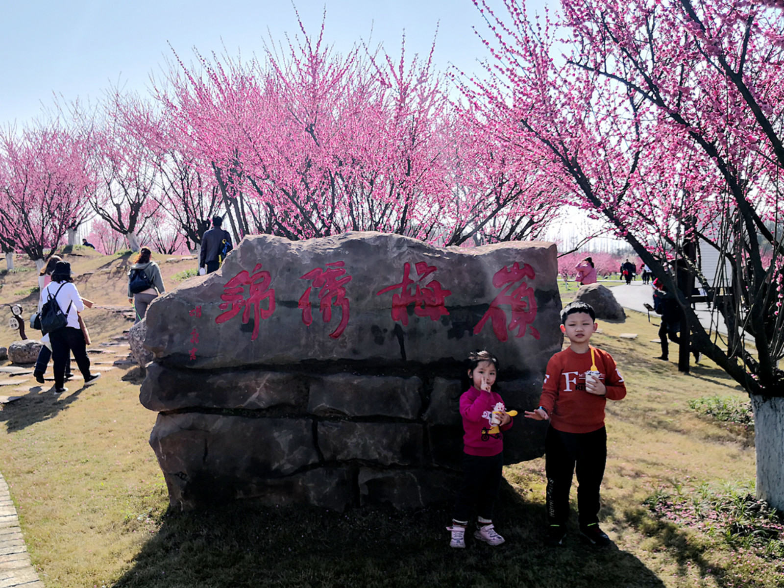 问花村简介图片