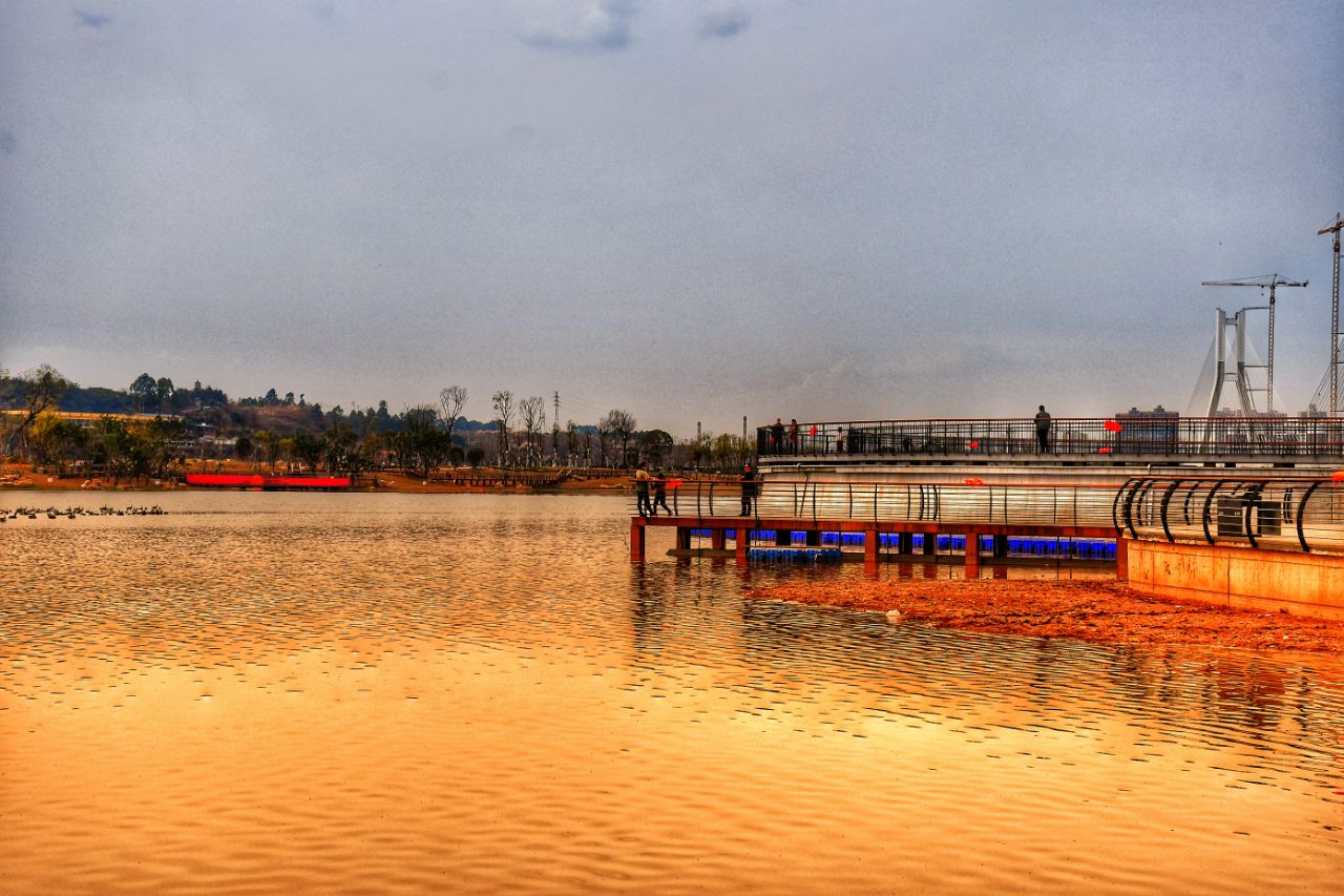 沱湖湿地风景区图片