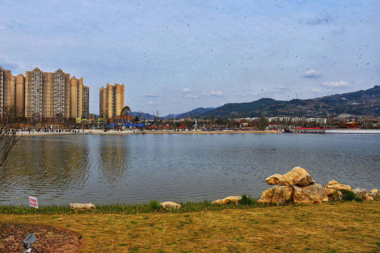 沱湖湿地风景区图片