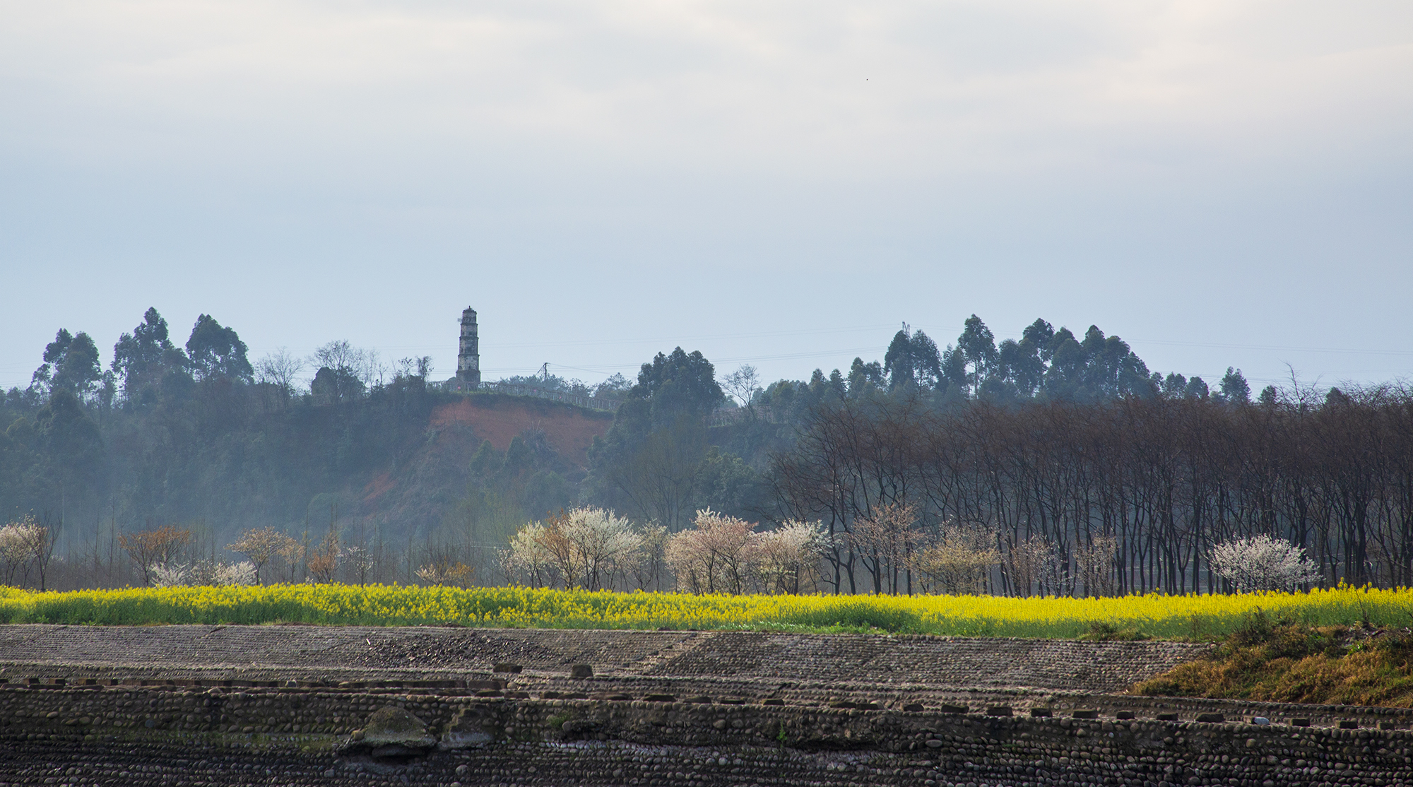 _R9A4316.jpg