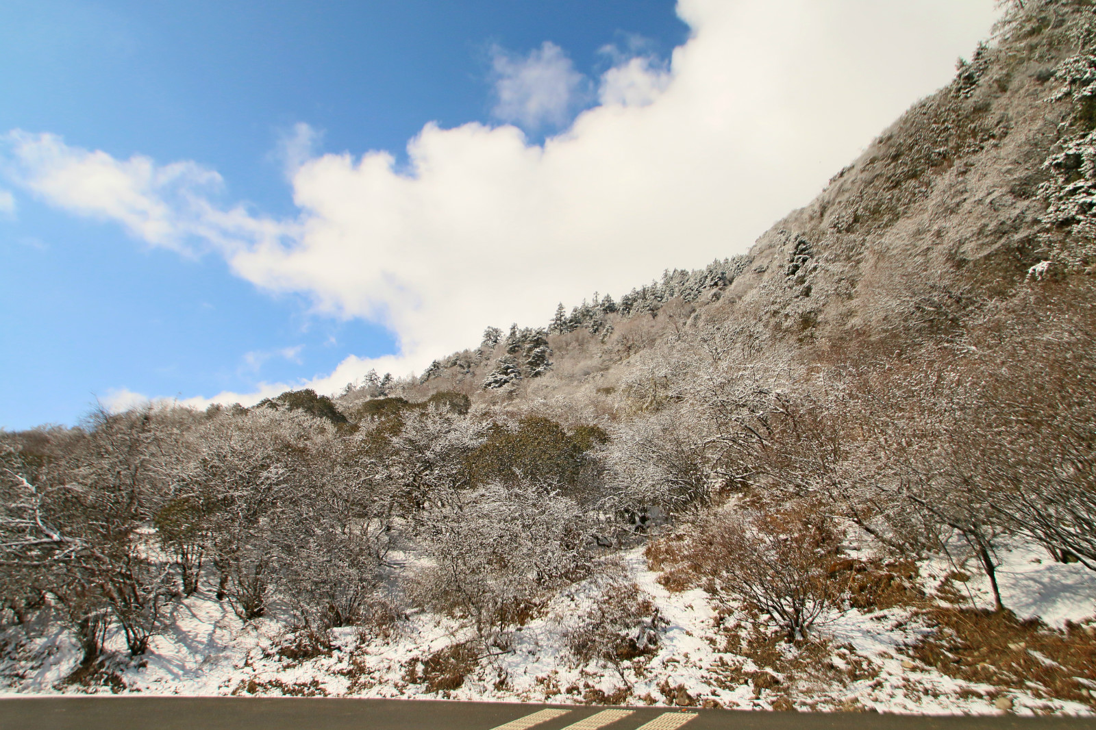 巴郎山雪景图片
