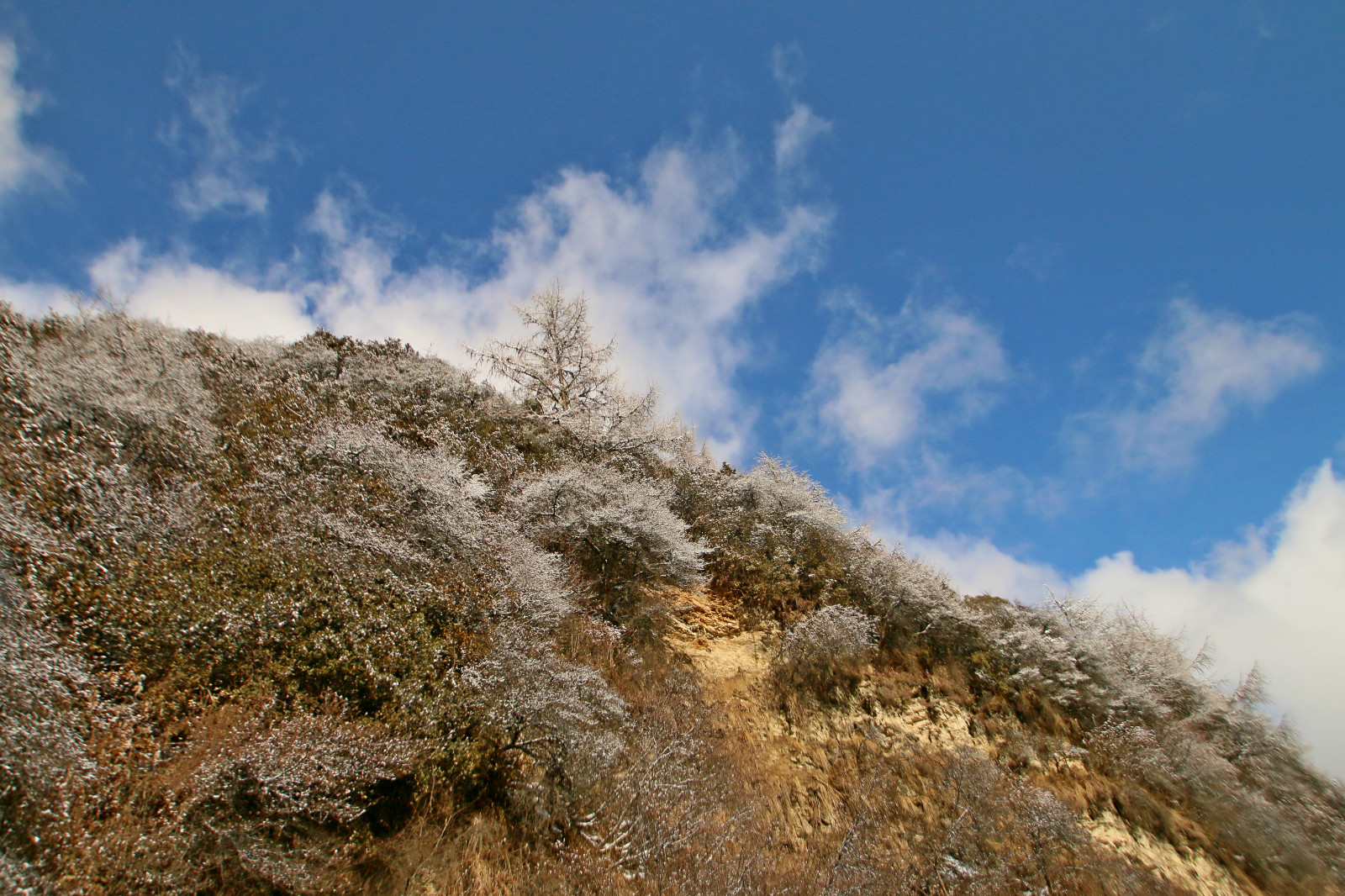 巴郎山雪景图片