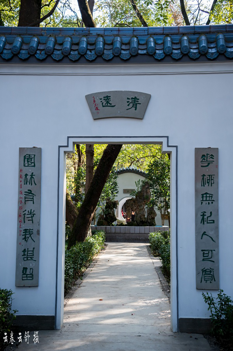 conew__dsc6021.jpg