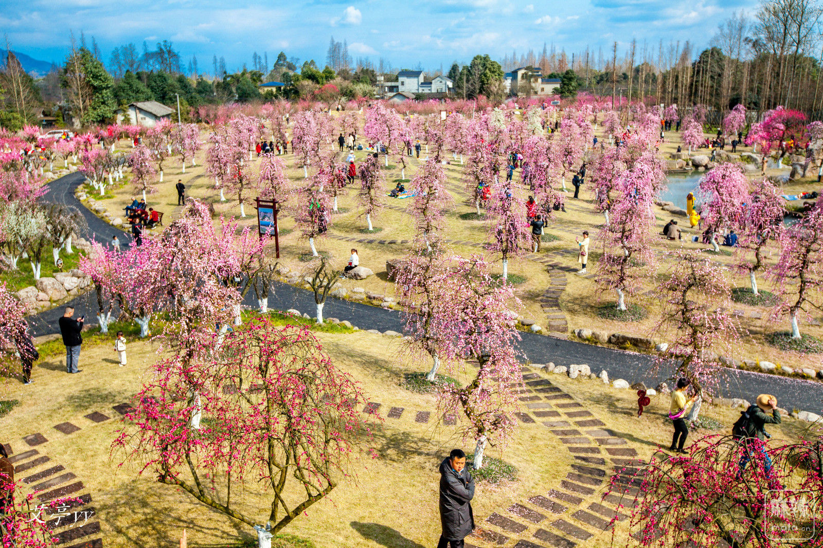 街子古镇问花村图片