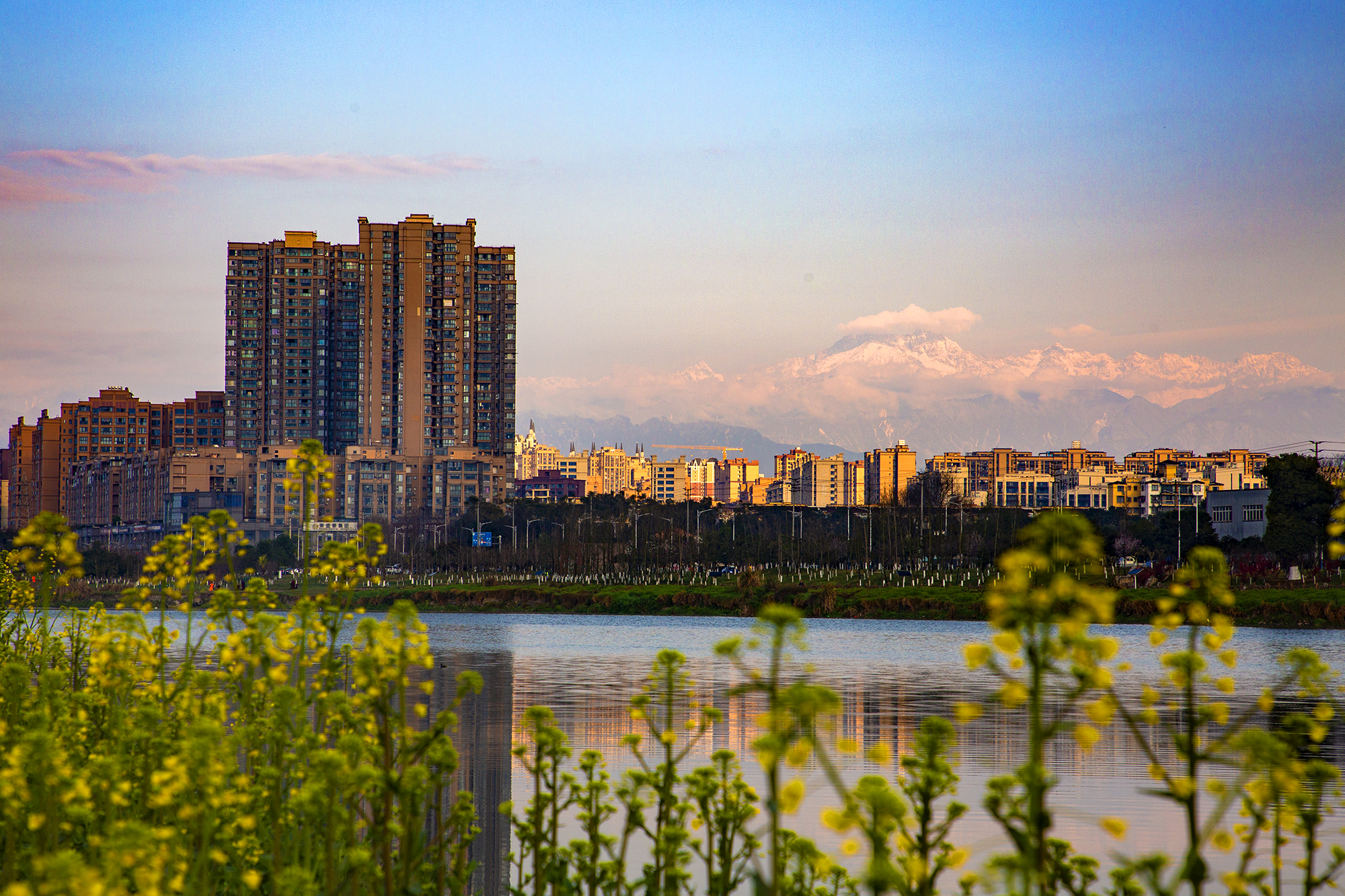 _R9A4338.jpg