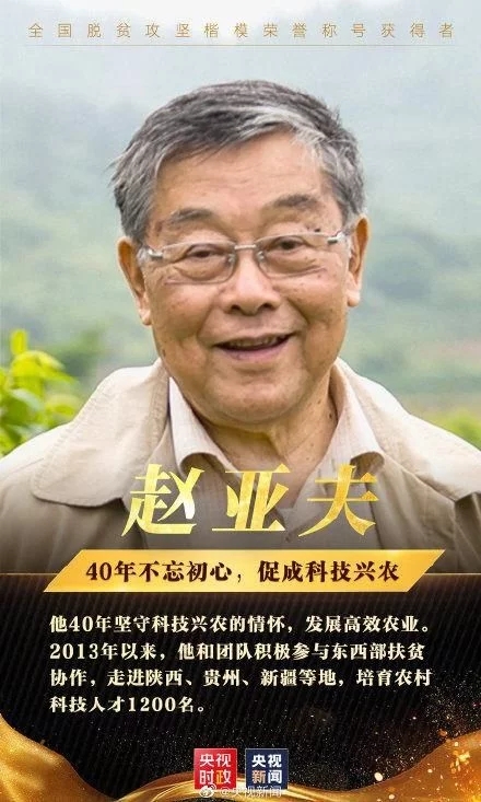 t01a85caa903290778d.webp.jpg