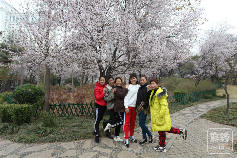 IMG_3707.jpg
