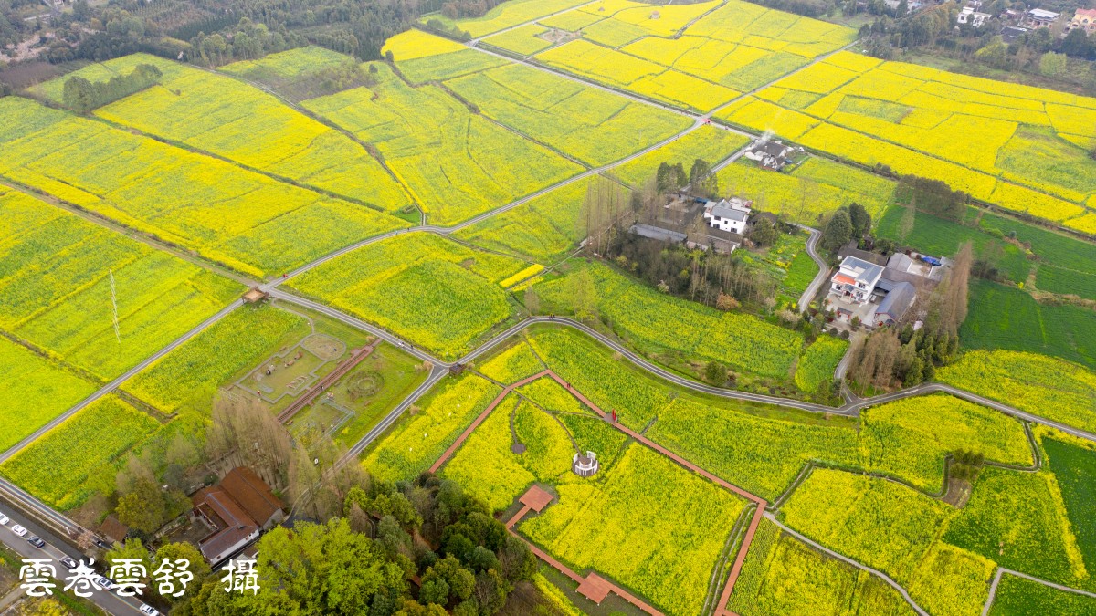 conew_dji_0997.jpg