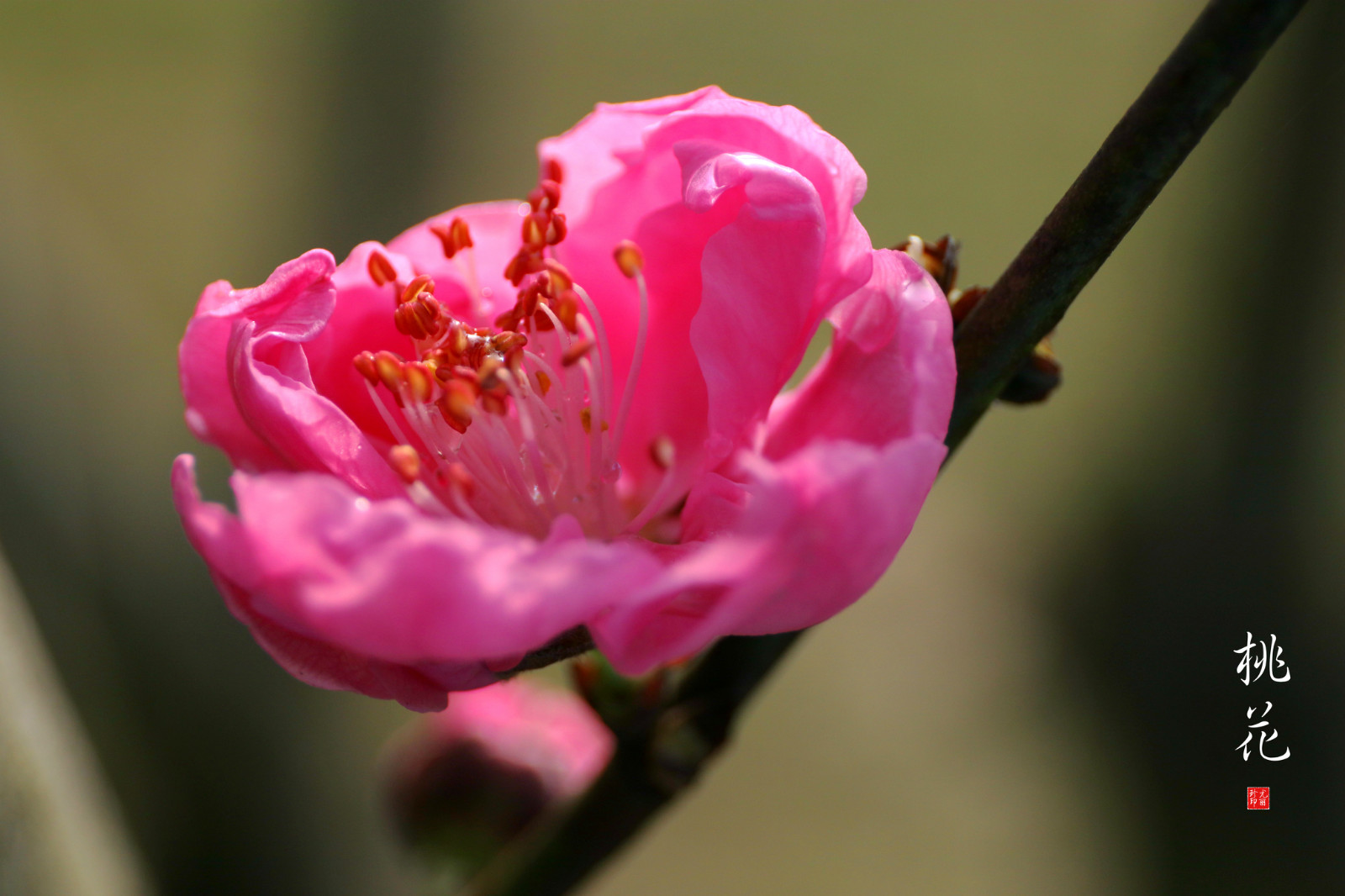 093439azq0u48080opqnbz.jpg