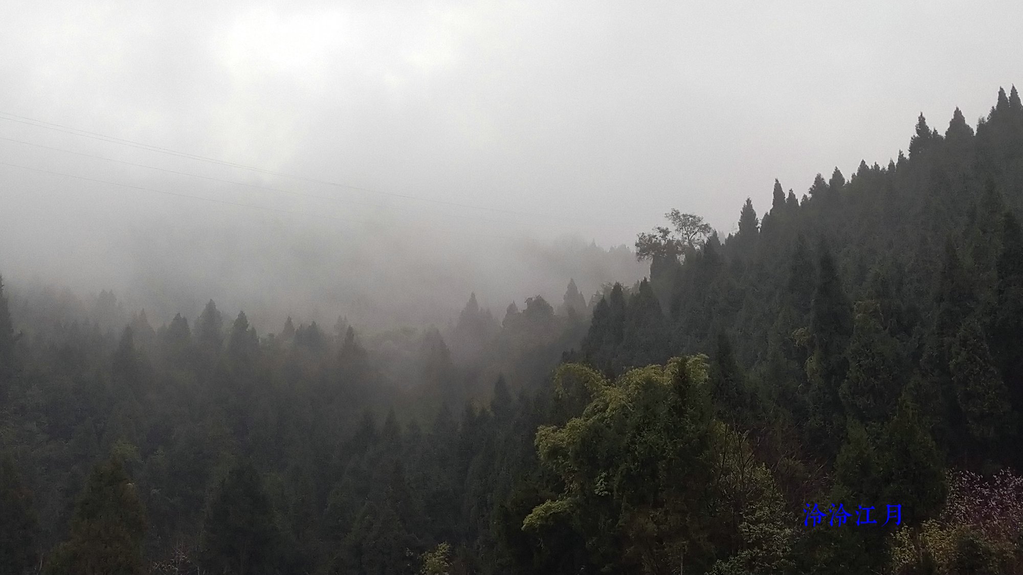 P10303-082014.jpg