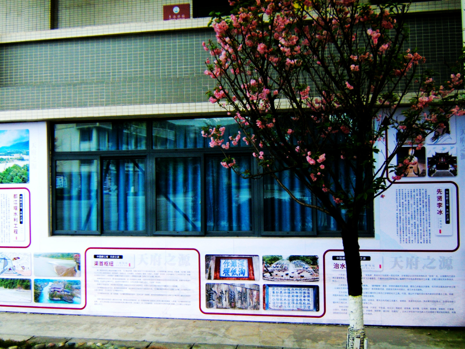 143046bok19qkf9bkdikba.jpg