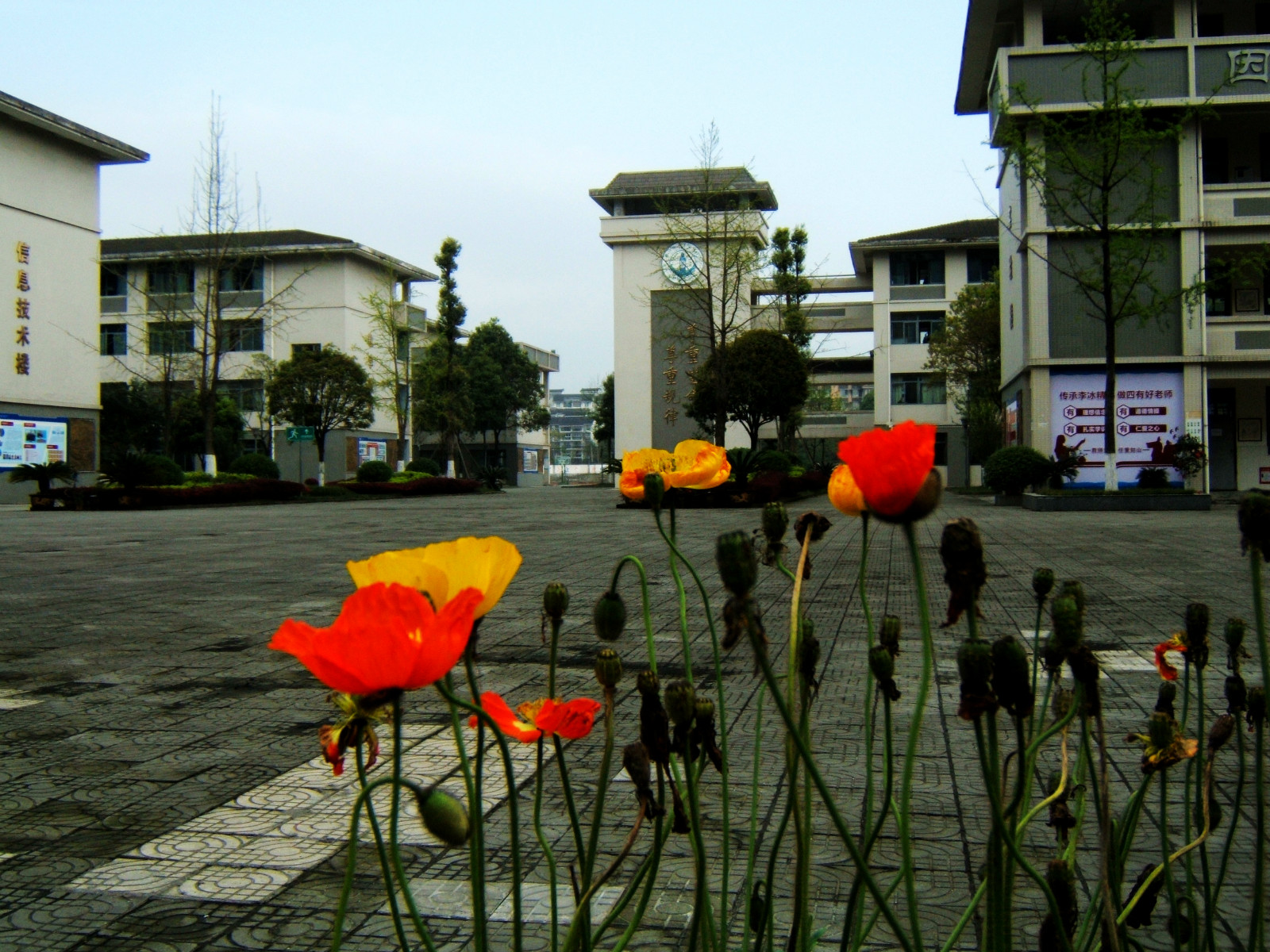143100vu5zw69utwoa9sua.jpg