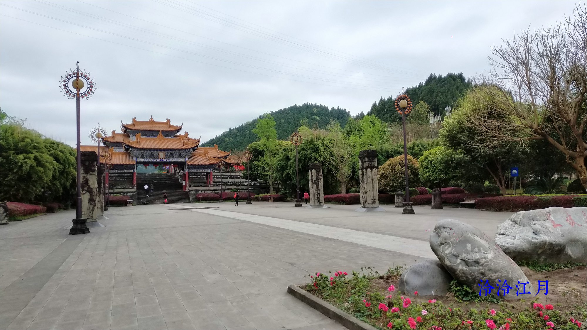 P10319-132251.jpg