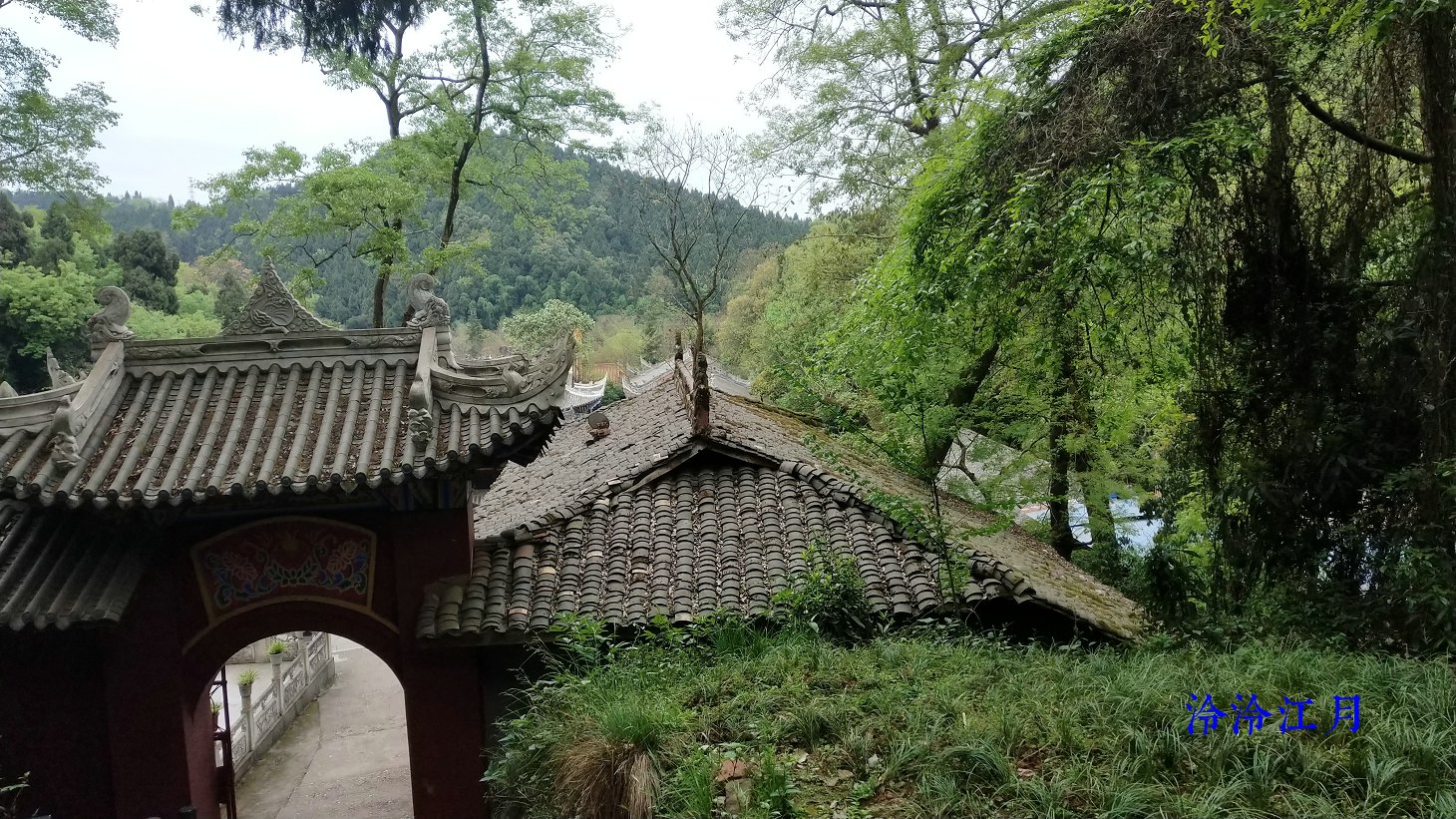 P10319-135725.jpg