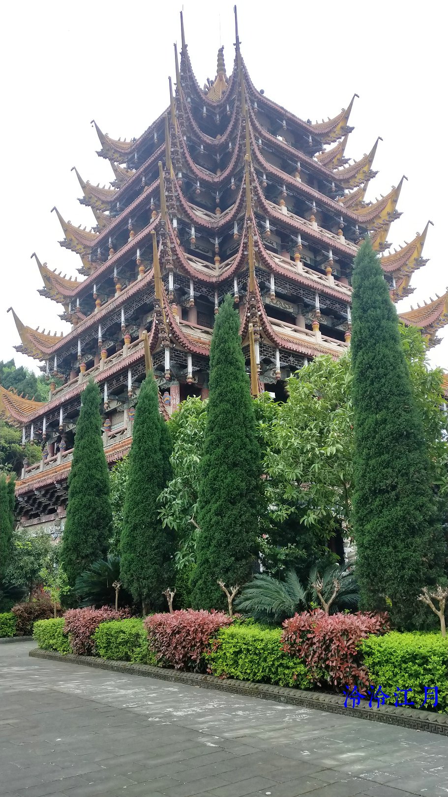 P10319-141546.jpg