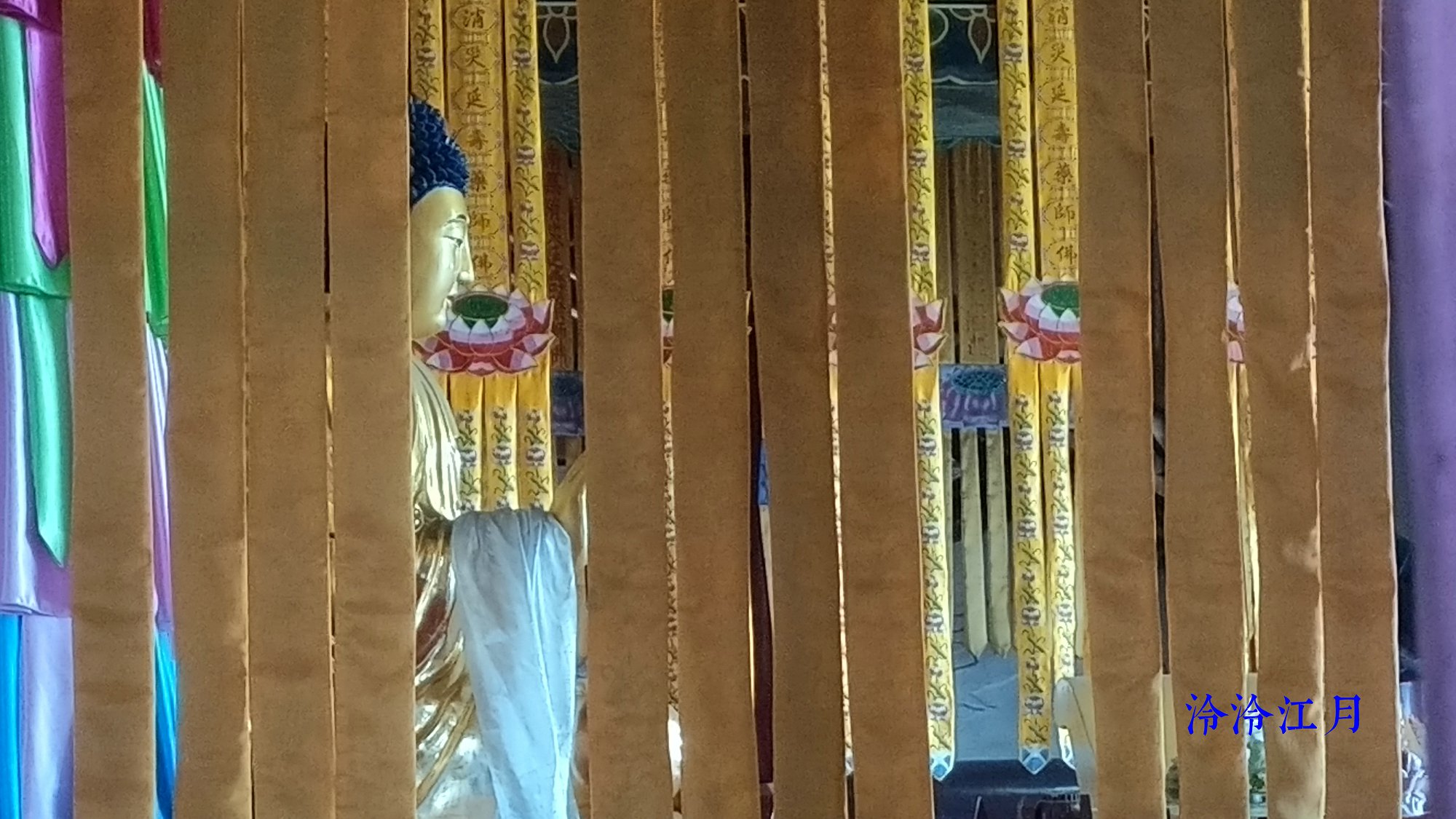 P10319-143351.jpg