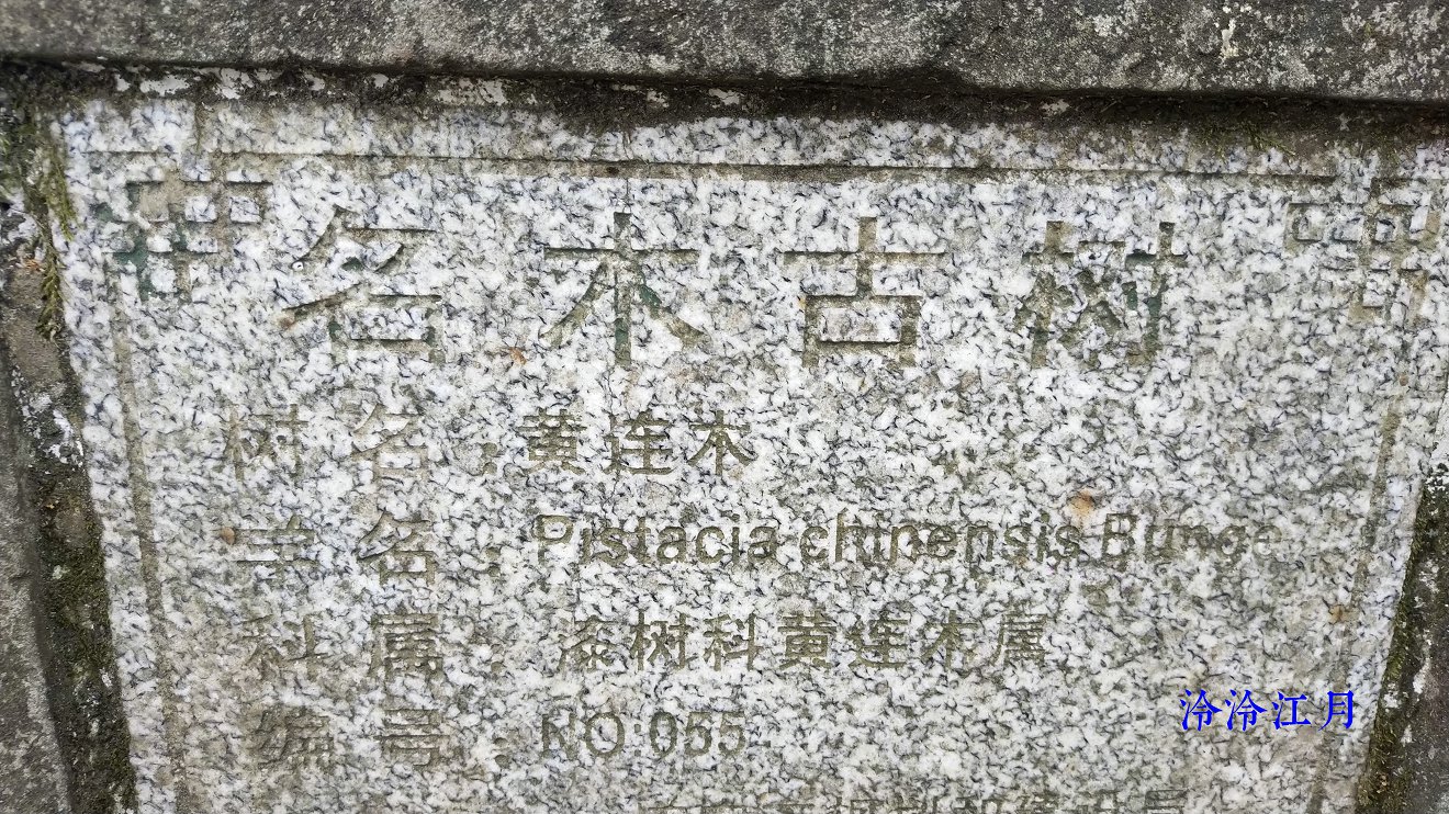 P10319-145746.jpg