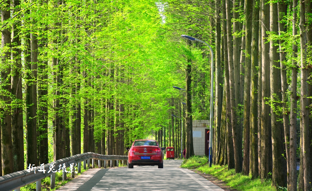 202113r6pbc3b6pmzpcbbo.jpg