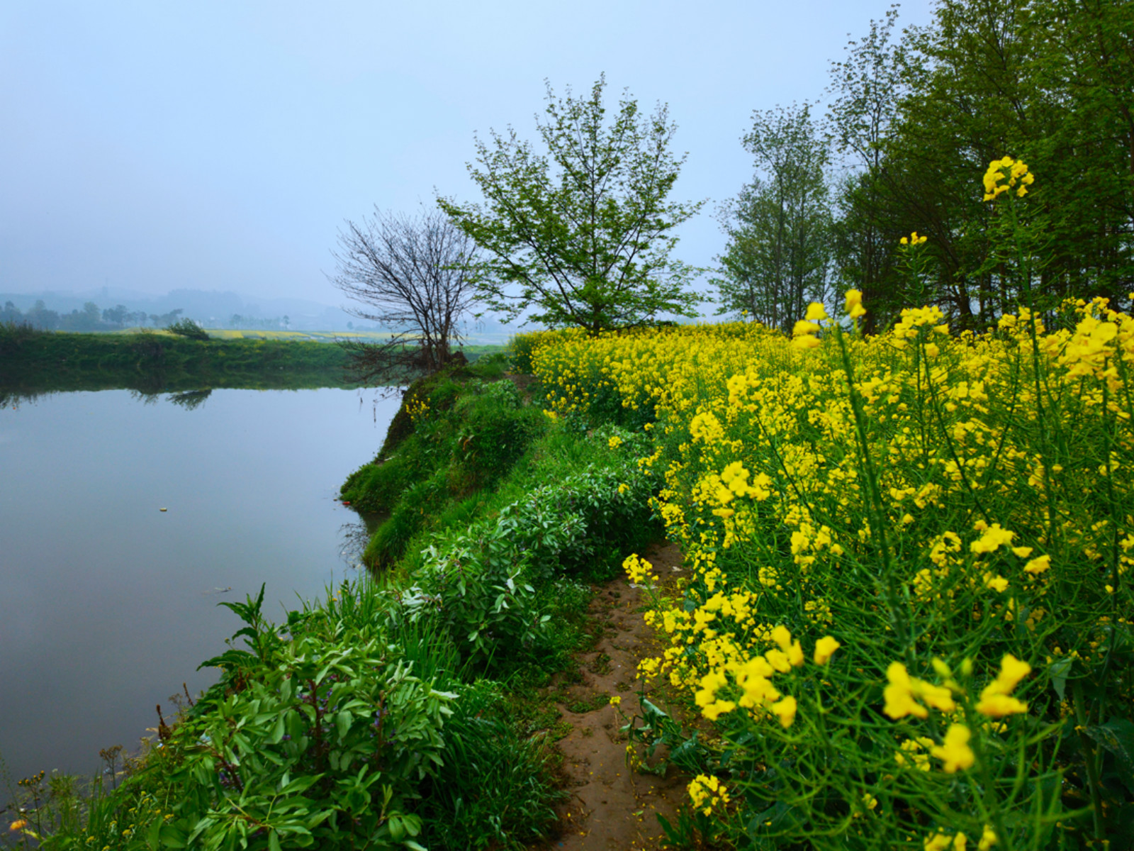 201239hkxhm957gyx0pg2s.jpg