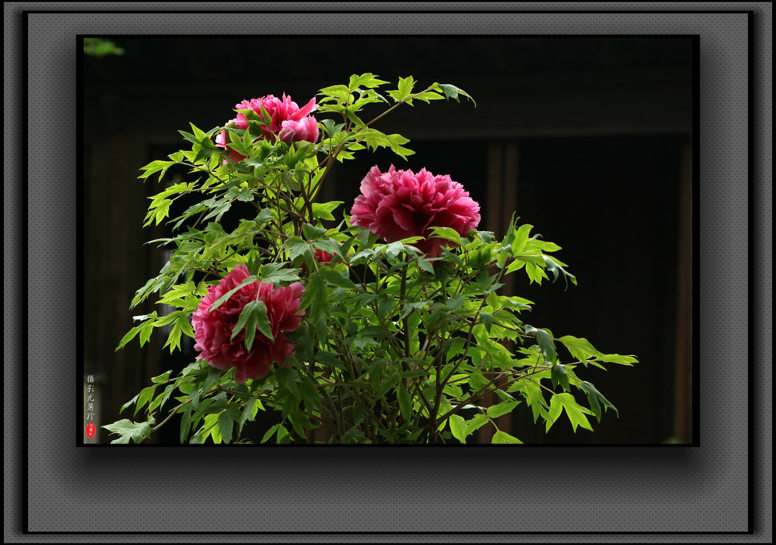 125242u4e1tjo4eg144js2.jpg