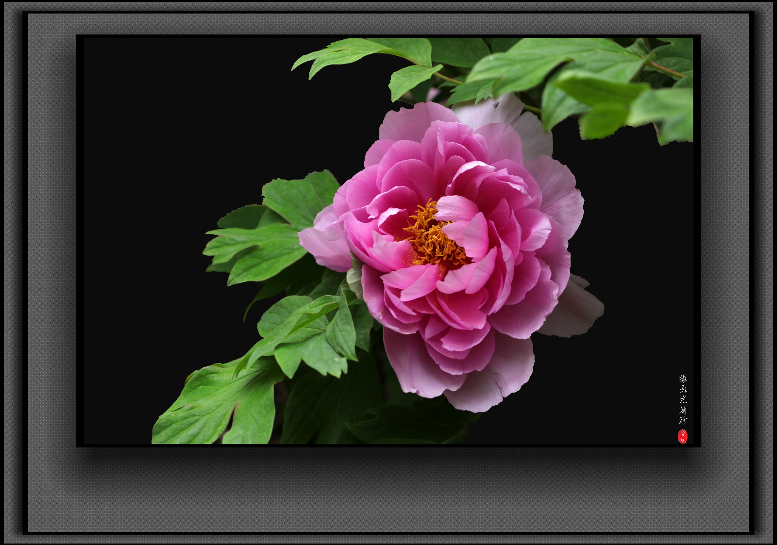 125316b50vu8xyxmhpn9iv.jpg