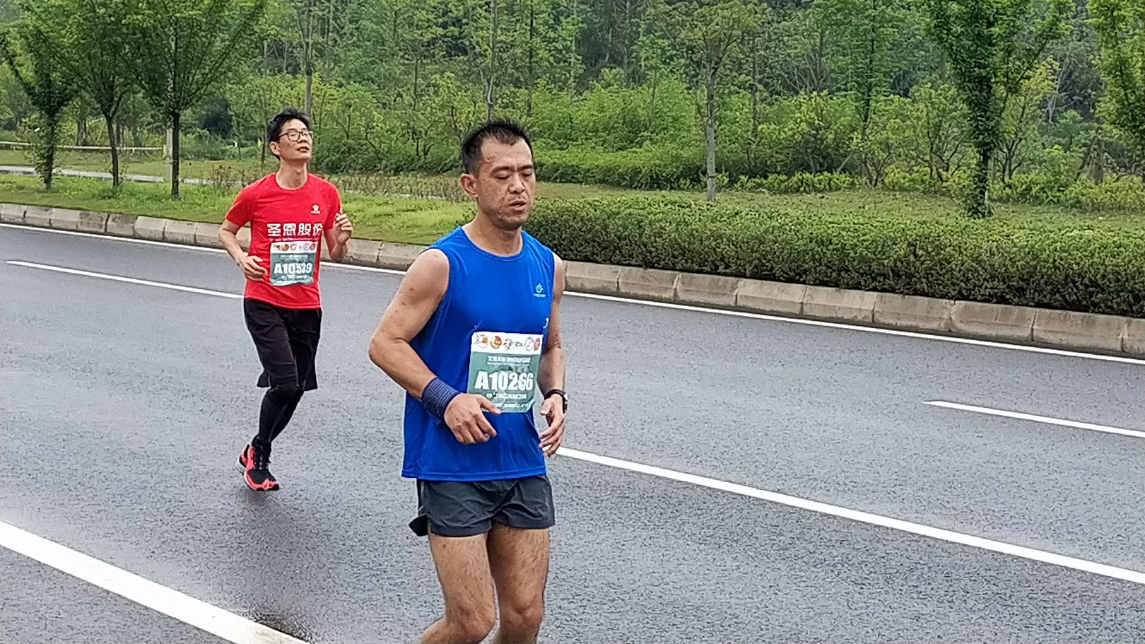 P10411-102940.jpg