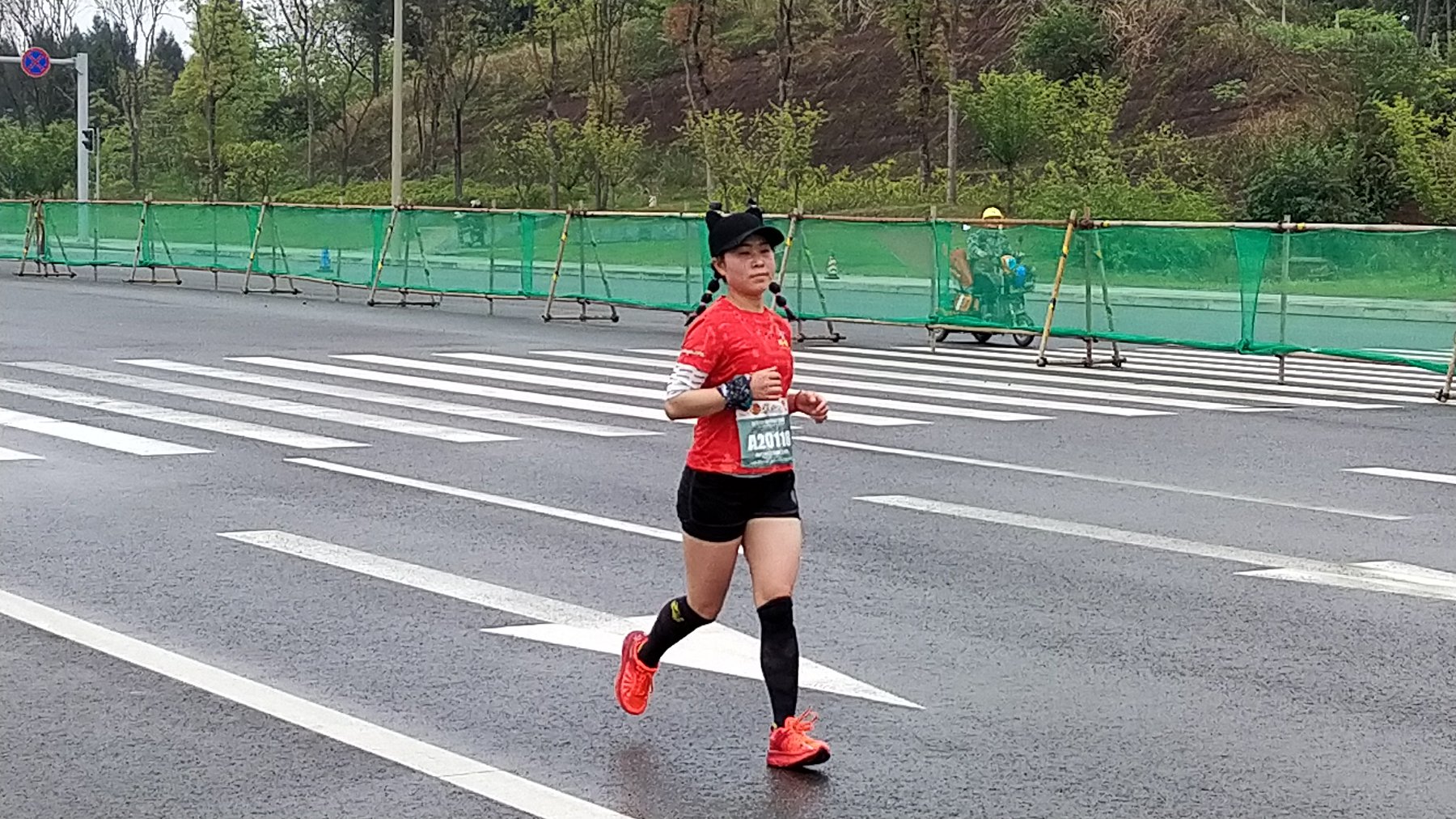 P10411-104739.jpg