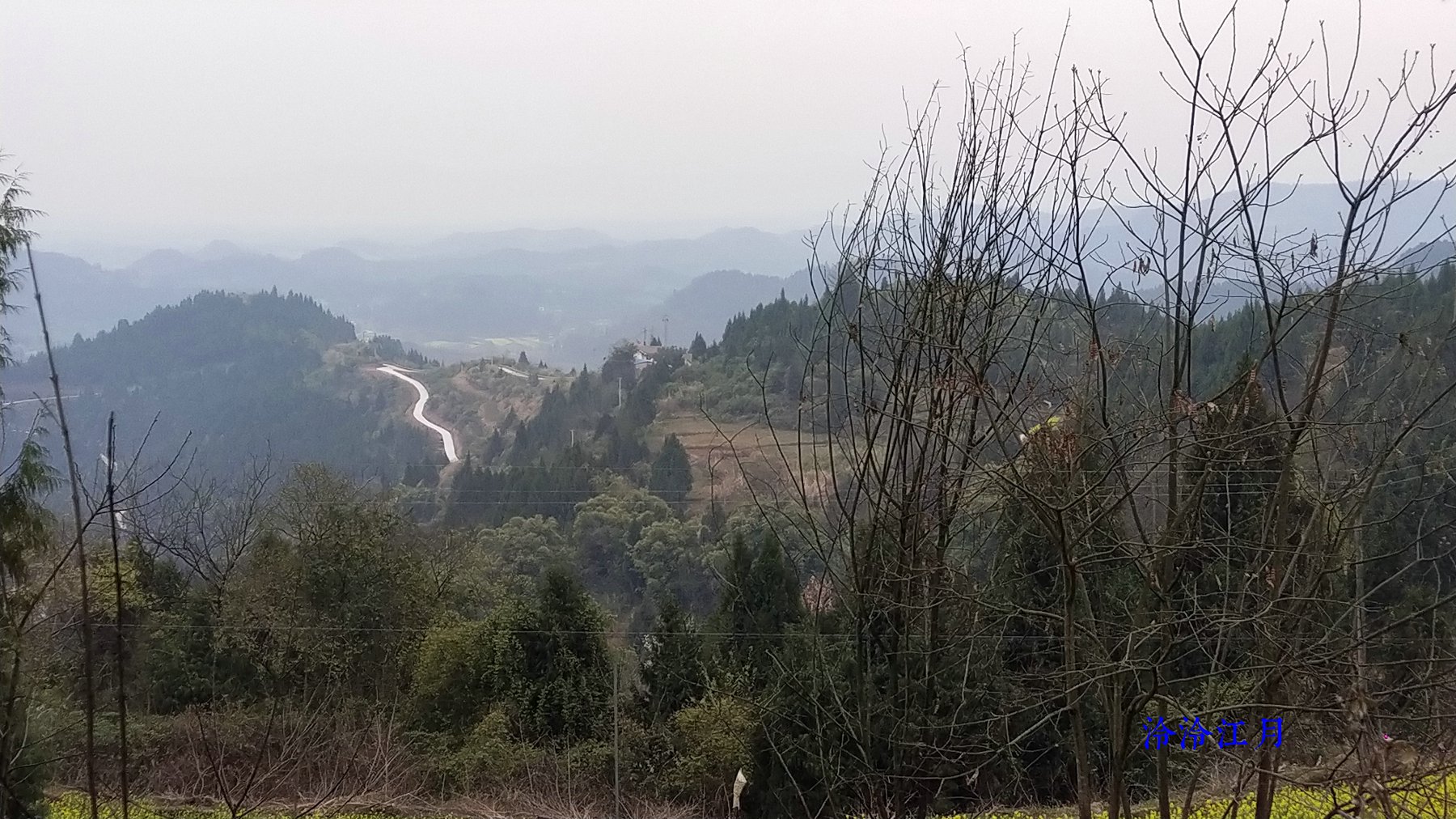P10305-175042.jpg