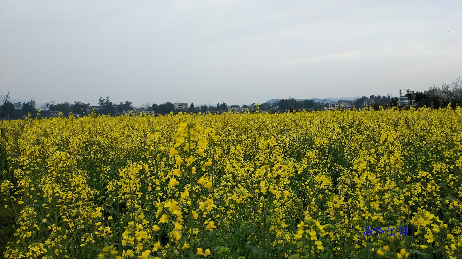 P10305-142253.jpg