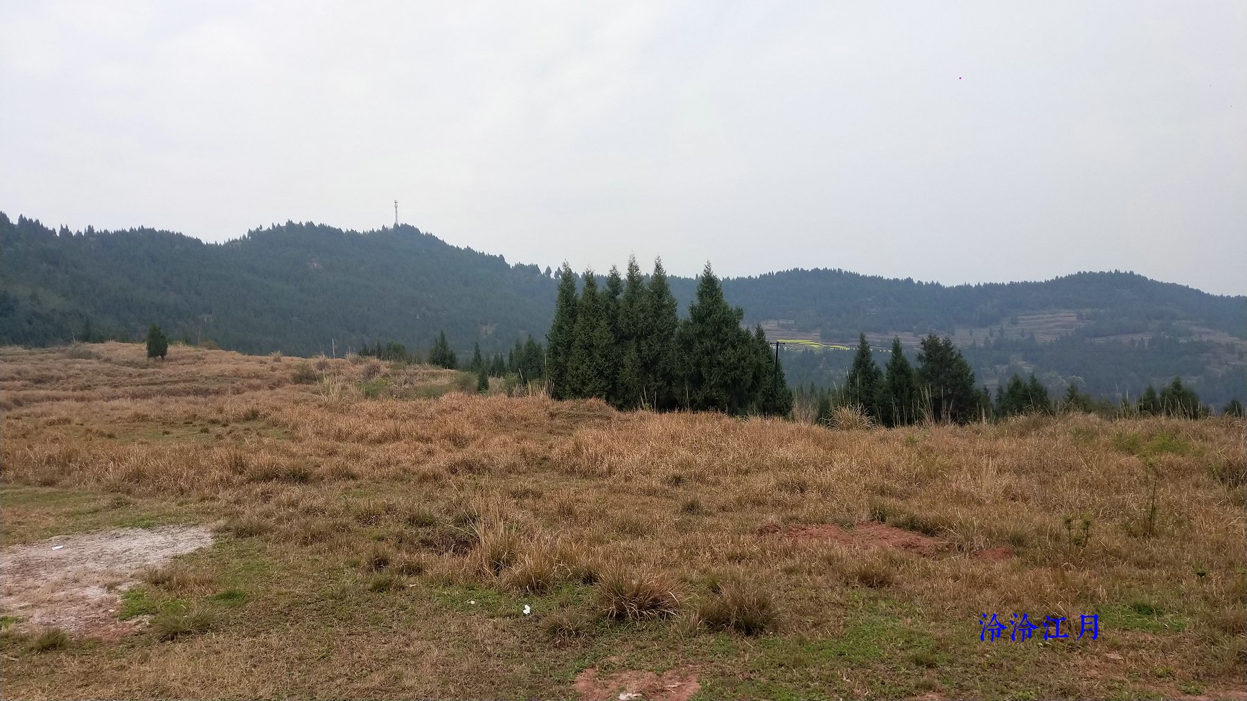 P10305-160350.jpg