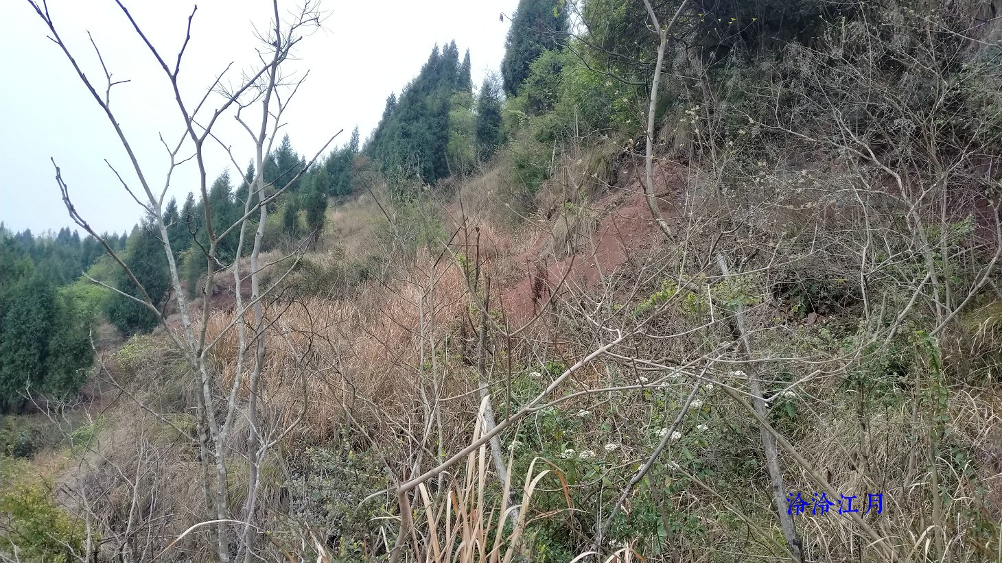 P10305-161242.jpg