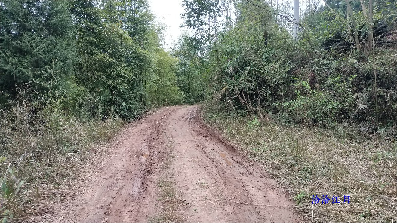 P10305-170253.jpg