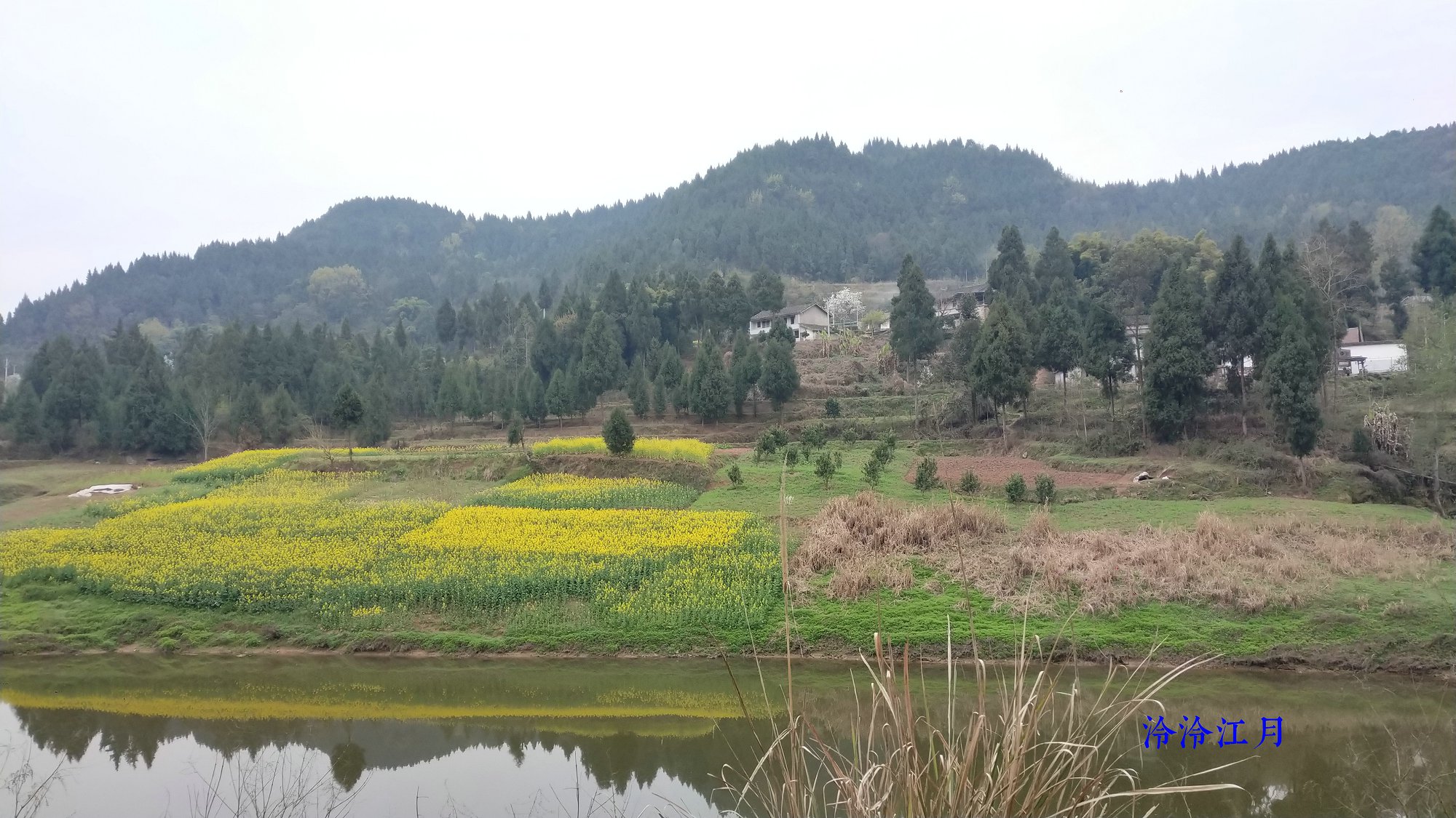 P10305-171709.jpg