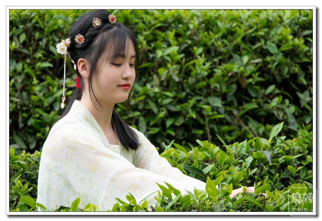 145757sx84japjztll2l8y.jpg