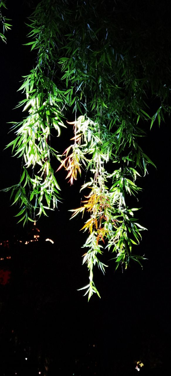 front2_0_FhgPugE7XRM9be-_epXcmQgwbxfB.1618618577.jpg