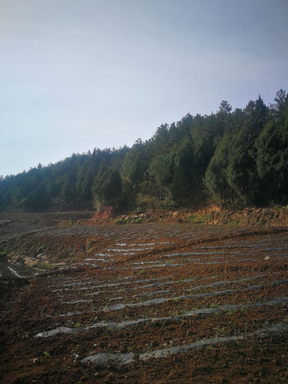 front2_0_FkXPLdUEruIWqo3RJNgeoiEZH1Mh.1618706456.jpg