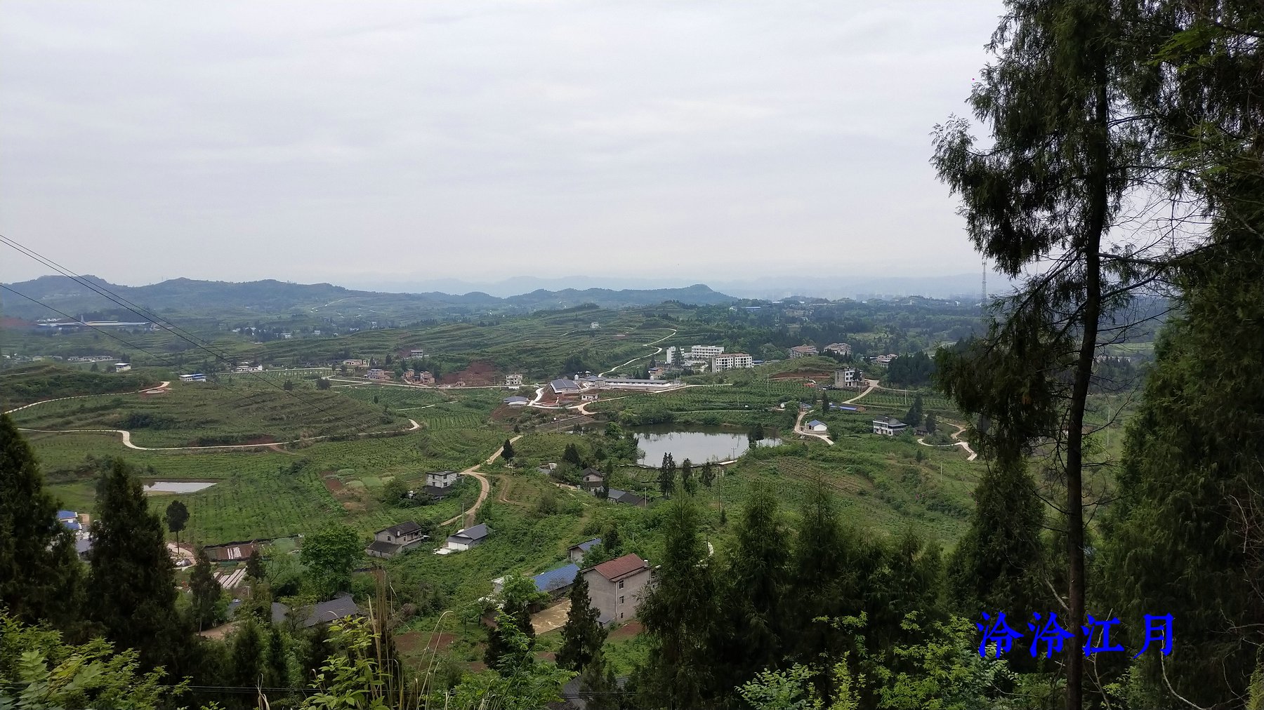 P10415-150442.jpg