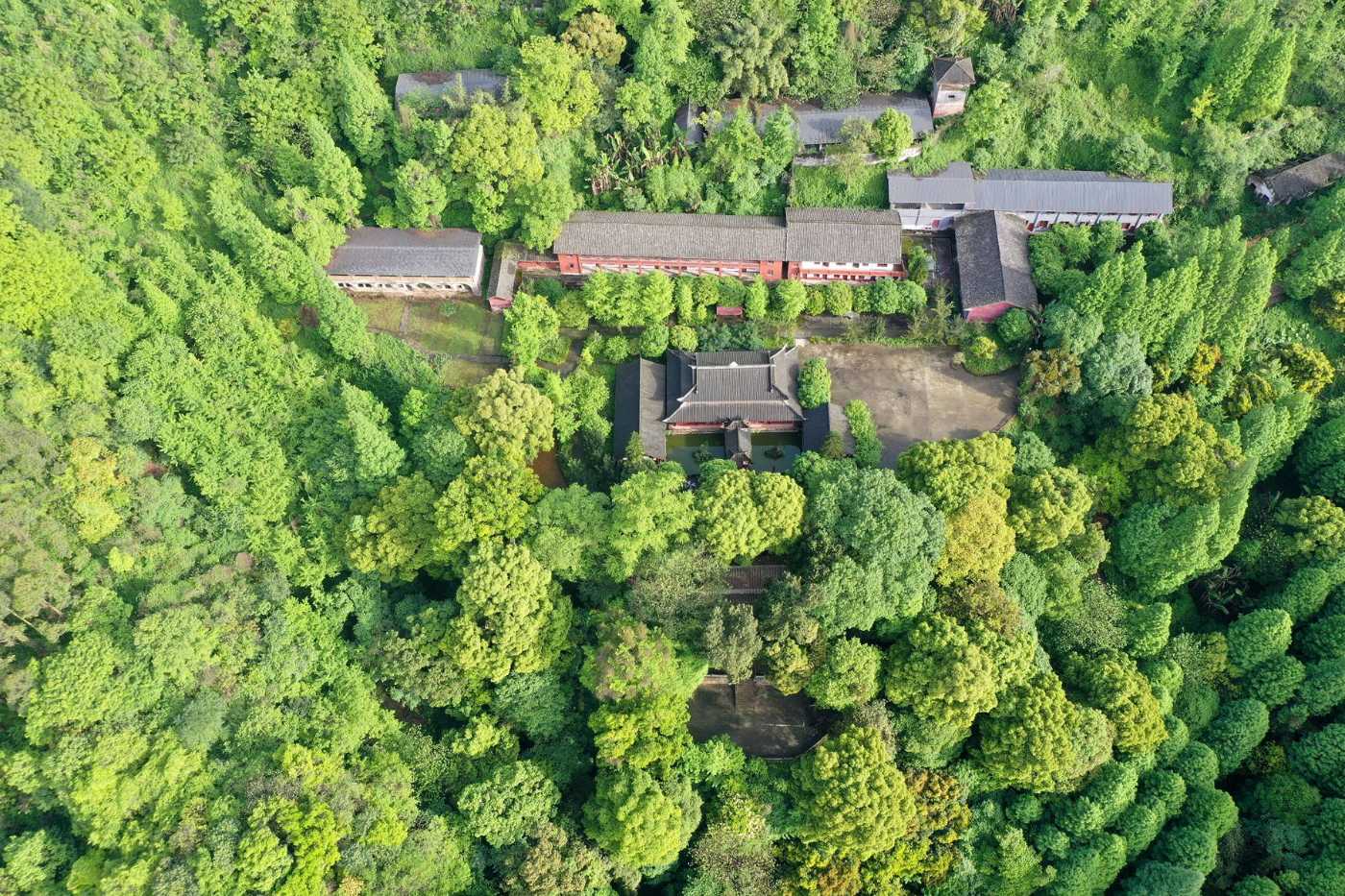 DJI_0500_2.jpg