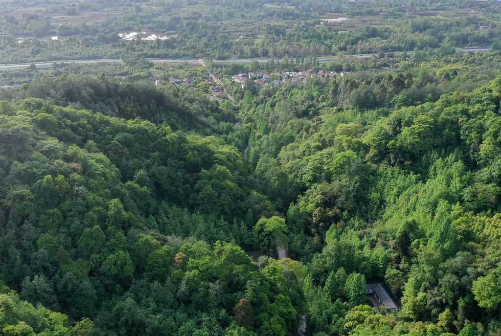 DJI_0511_.jpg