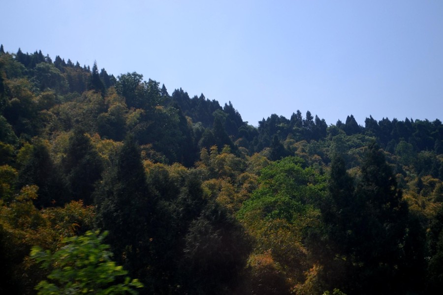 DSC_0444.JPG