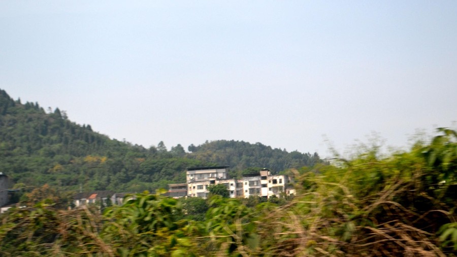 DSC_0462.JPG