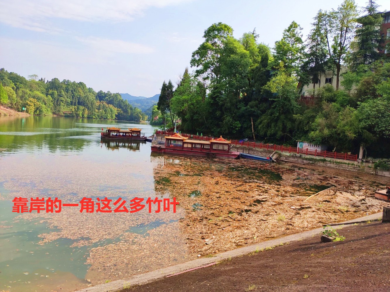 4079612DD3790B3281FDA7F00ED46D5A__.jpg